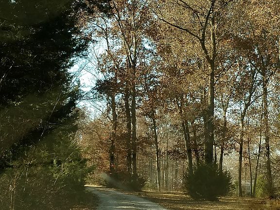 Beginning of driveway