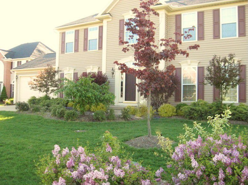 1st image of 38960 Amberwood Dr