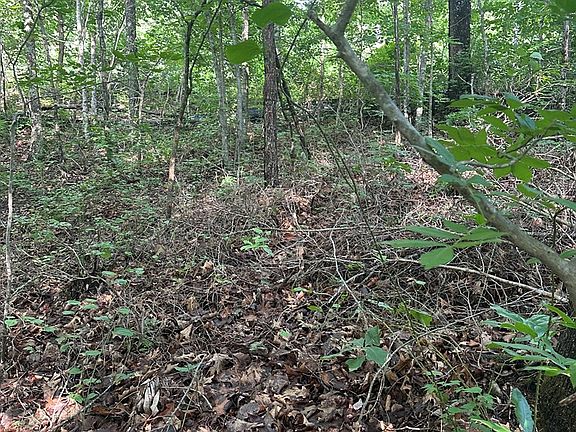 3rd image of LOT 2 Buckeye Ln