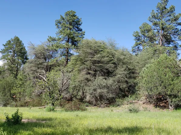 260 E Cline Xing, Young, AZ 85554