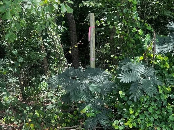 6671 Norvell Rd, Wade, NC 28395