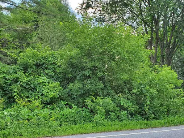 00 Route 30 N, Castleton, VT 05735