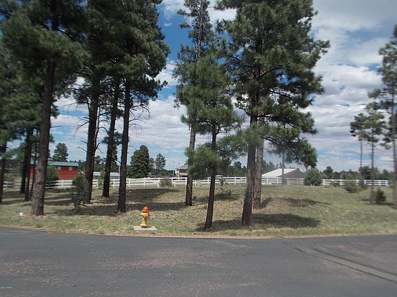 4th image of 2242 Bear Claw Dr