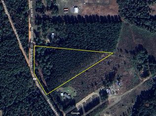 0 Buie Driggers Rd, Brooklet, GA 30415