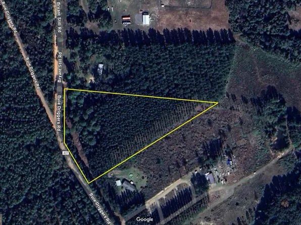 0 Buie Driggers Rd, Brooklet, GA 30415