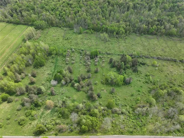 Dye Rd, South Dayton, NY 14138