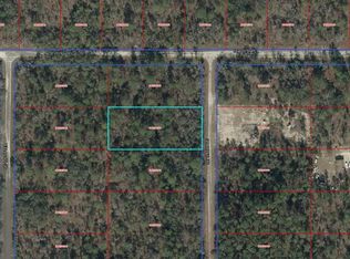 0 SE 128th Ave Lot 2, Dunnellon, FL 34431