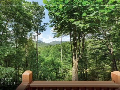 576 Blackberry Trail, Sapphire, NC, 28774