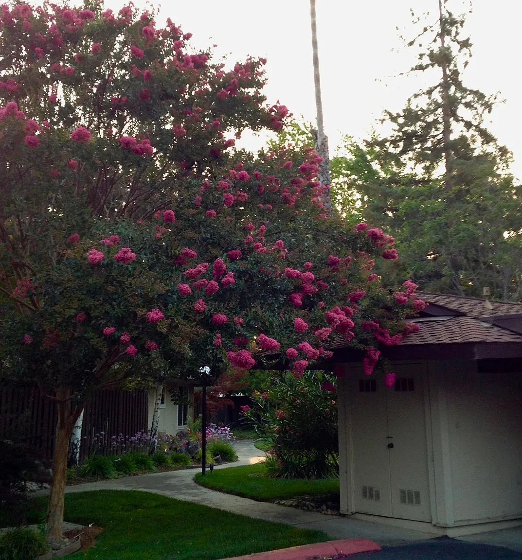 5031 Pinetree Trl photo 1