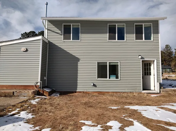 246 Cowan Rd, Bailey, CO 80421