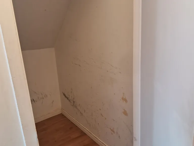 1421 Dundas St W — Photo 16