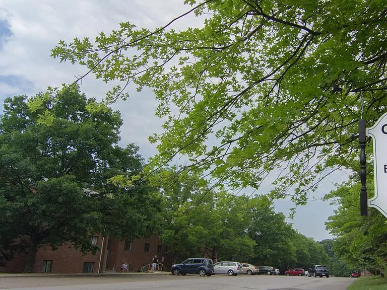 Colonial Oaks Apartments — Photo 1