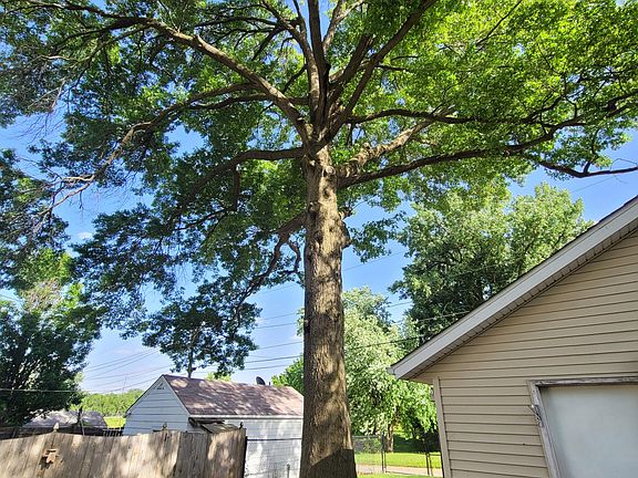 Southeast corner of yard. Large oak tree (maintained bi annually) shades the majority of back yard and house (helps with utility bills).