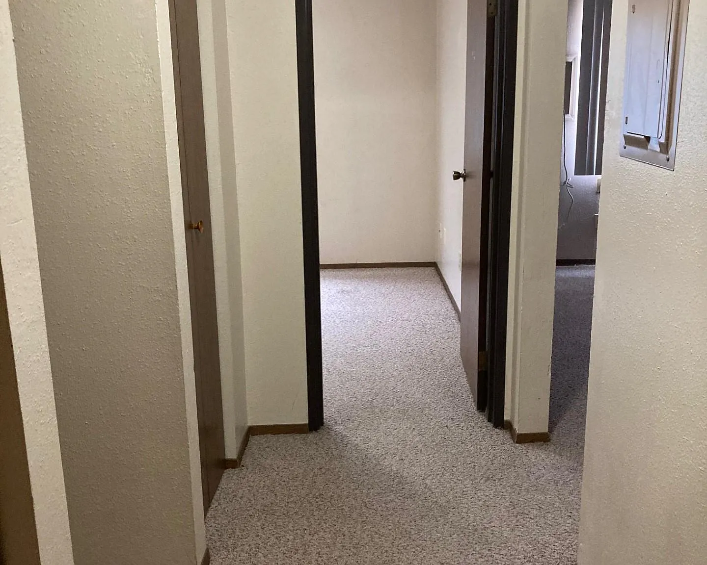 1 bed, $525 — Photo 2