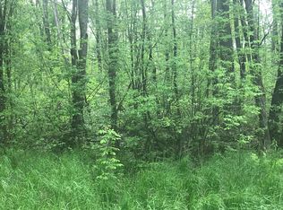 Truax Rd, Hillman, MI 49746