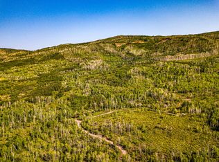 23166 Aspen Hills Rd, Cedaredge, CO 81413