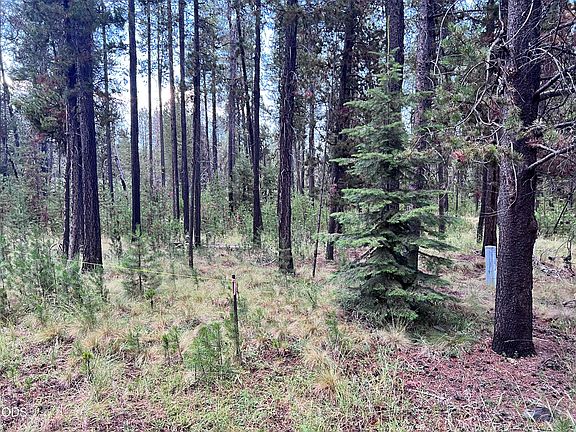 2nd image of 17080 Island Loop Way