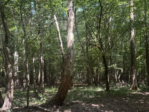 Nekoosa Rd, Grady, AL 36036