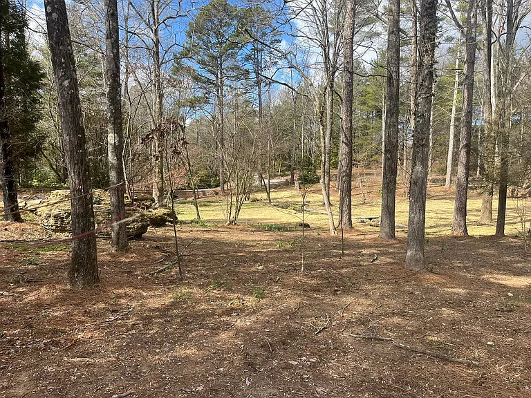 10428 Coward Mill Rd — Photo 14