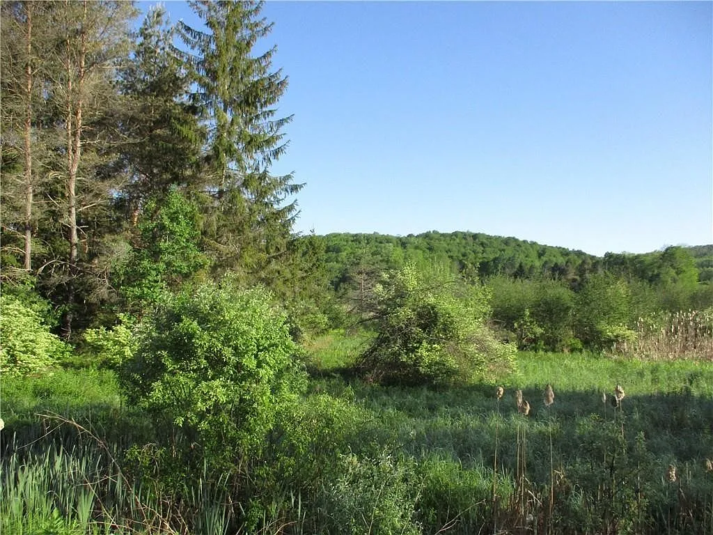 LOT 1 State Route 80 Lot 1 photo 1
