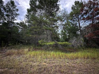 LOT 25 FISHER RUN, Ocklawaha, FL, 32179