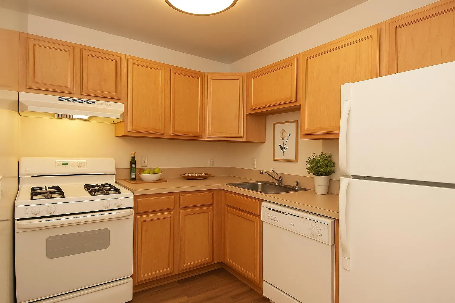 Chestnut Apartments — Photo 2