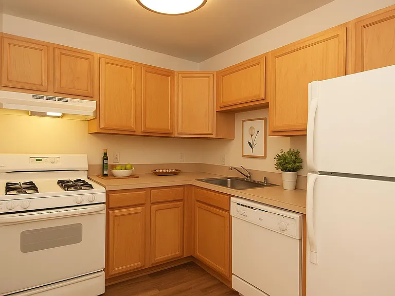 Chestnut Apartments — Photo 3