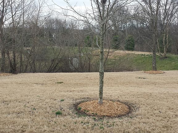View from front porch