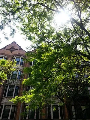 Rented by Living New York | media 15