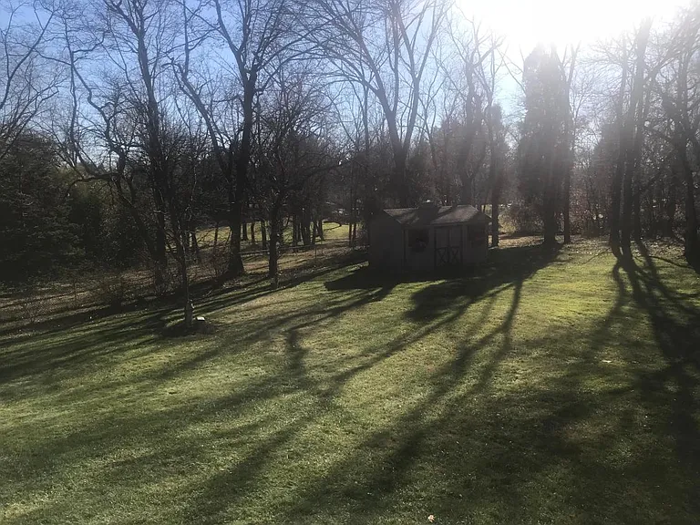 Back yard