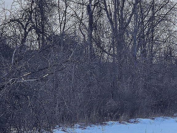 5th image of 12100 Griffin Rd