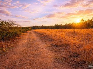 LOT 41 Mineral Springs Rd, Jay, FL 32565