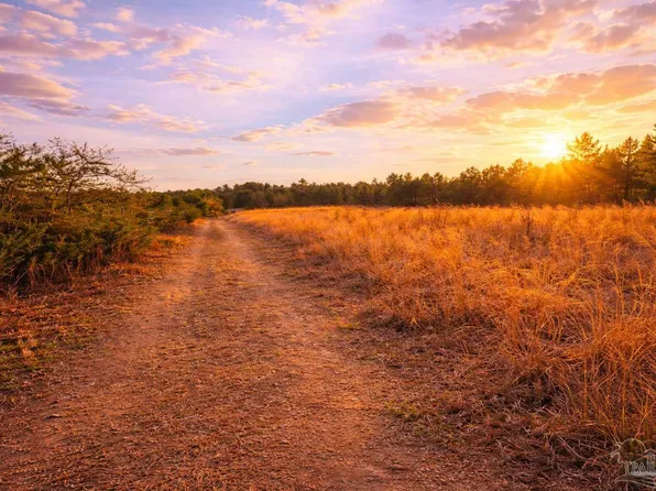 LOT 41 Mineral Springs Rd, Jay, FL 32565