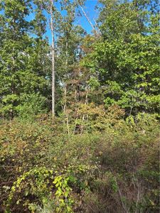 40 Glyndebourne Dr, Bella Vista, AR, 72714