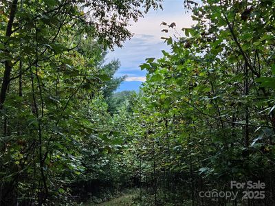 0 Double Island Rd, Green Mountain, NC, 28740