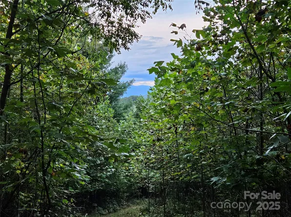 0 Double Island Rd, Green Mountain, NC 28740