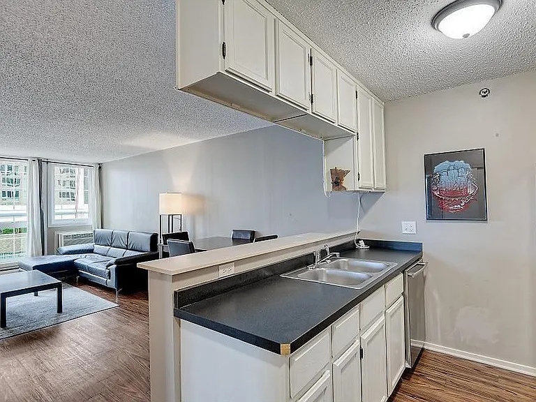 433 S 7th St #1607 — Photo 2