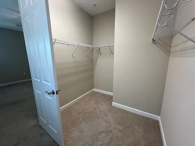 Primary Closet #1