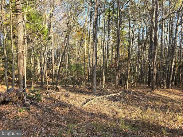 4 Falling Leaf Ln, Montross, VA 22520