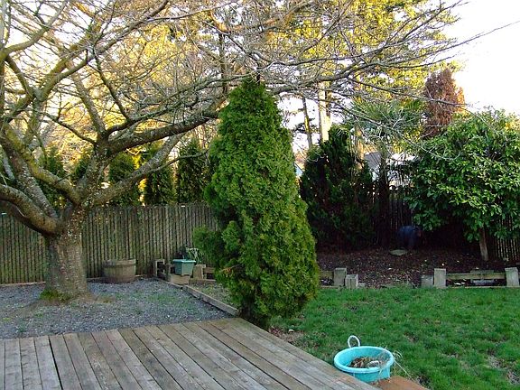 east side of back yard