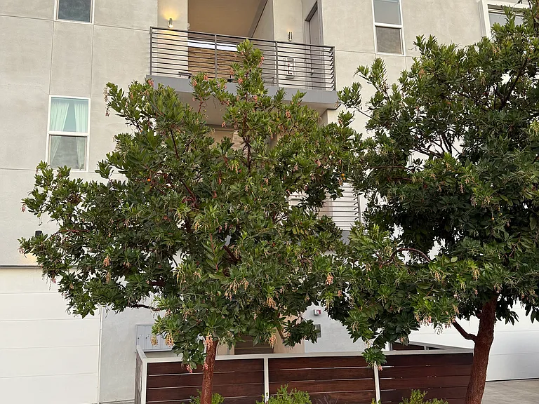 5720 Klump Ave #3 — Photo 32