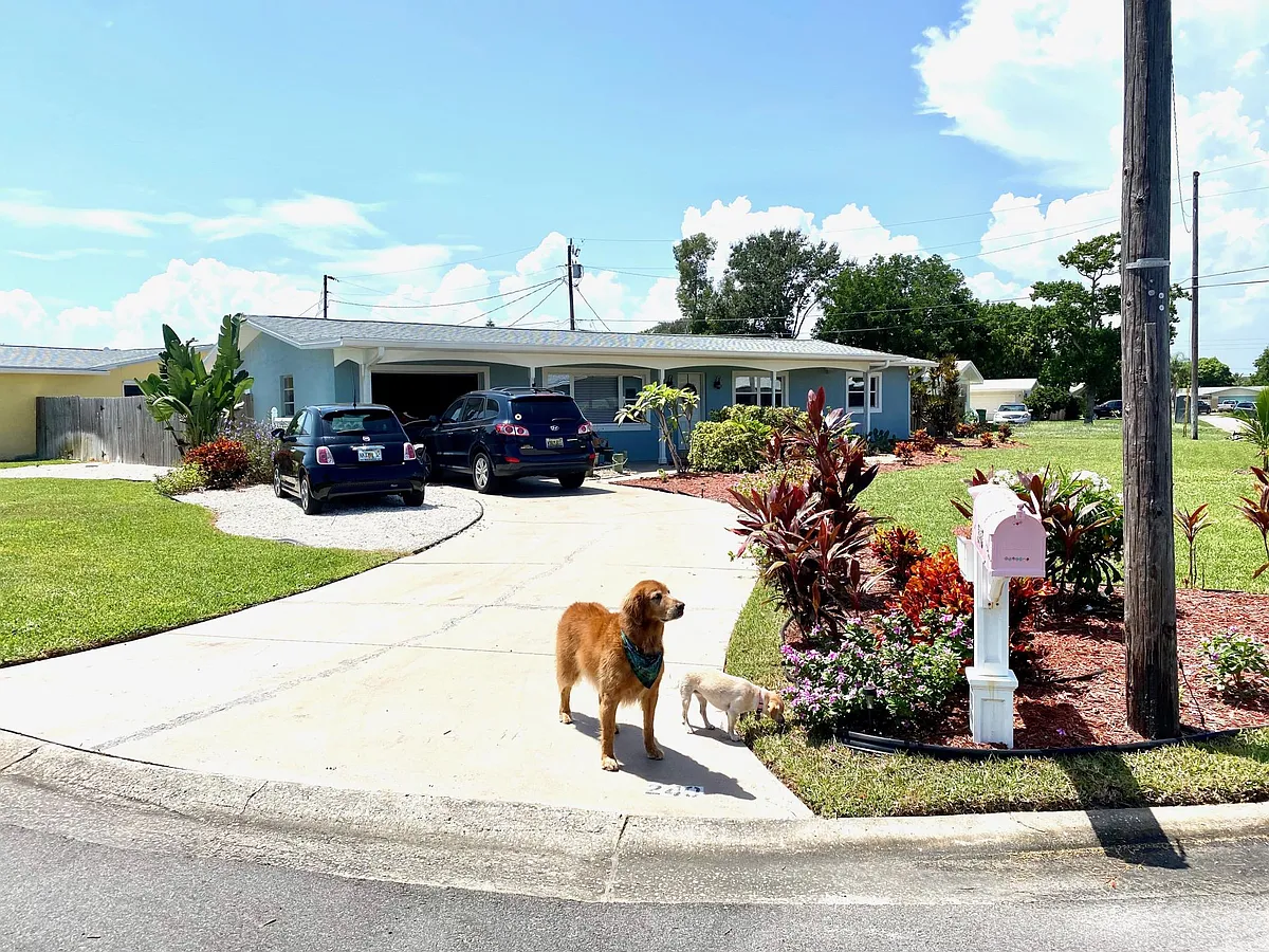 Building Photo - Micanopy Ct