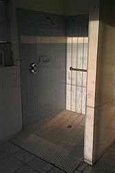 5th image of 207 Papaya St