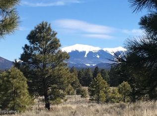 9811 E Forest Service 713 Rd, Parks, AZ --