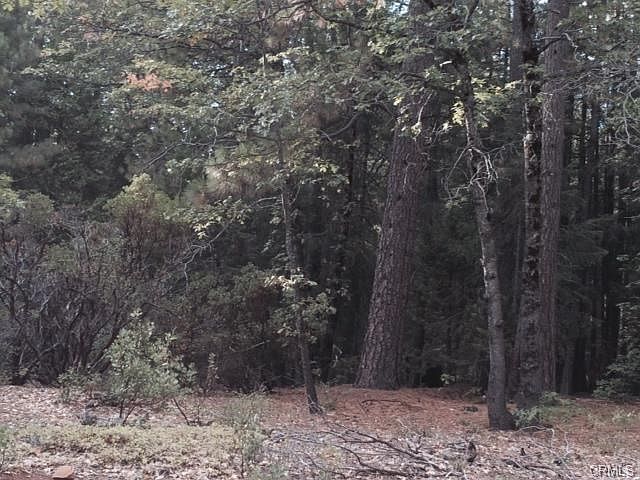 2nd image of Deer Creek Hwy