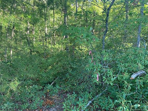 2nd image of 00 Garden Ln