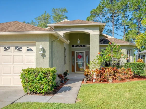 1411 HICKORY MOSS PLACE, TRINITY, FL 34655