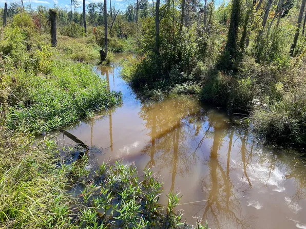 0 Todd Creek Rd, Neeses, SC 29107
