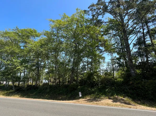 602 Duck Lake Dr SE, Ocean Shores, WA 98569