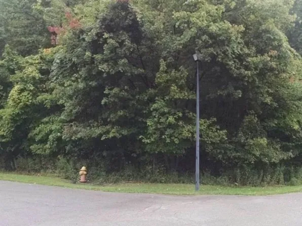 Saint Andrews Dr, Youngstown, OH 44505